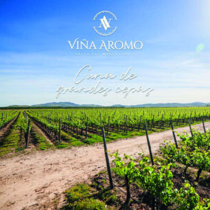 Aromo Chardonnay - Viña El Aromo - Valle del Maule, Chili - 2019 – Image 2