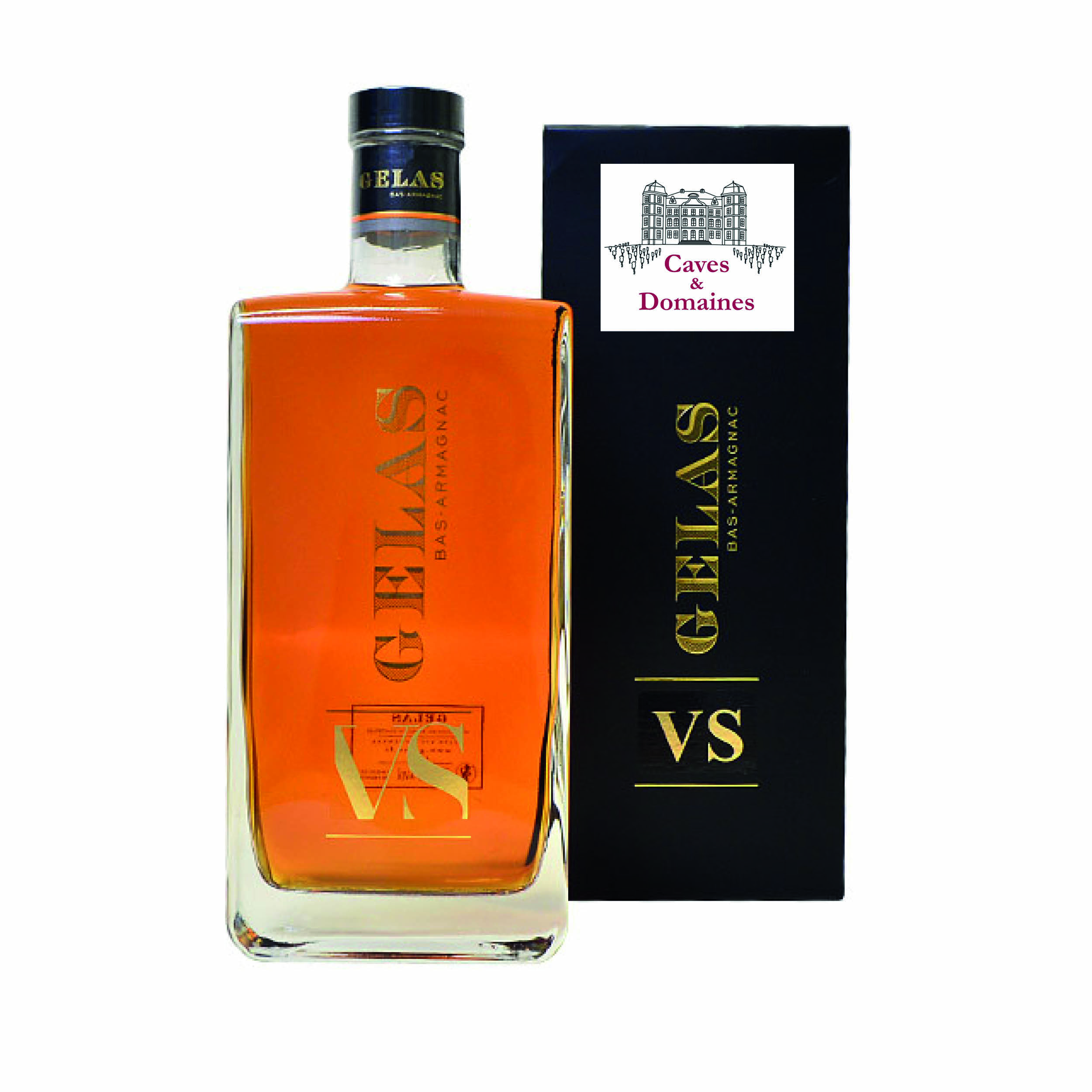 Bas Armagnac Decanter VS - Maison Gelas - 70Cl