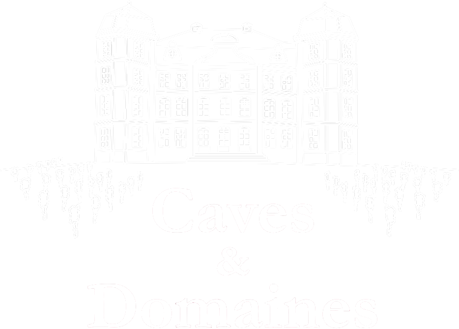 LOGO BLANC - Caves & Domaines